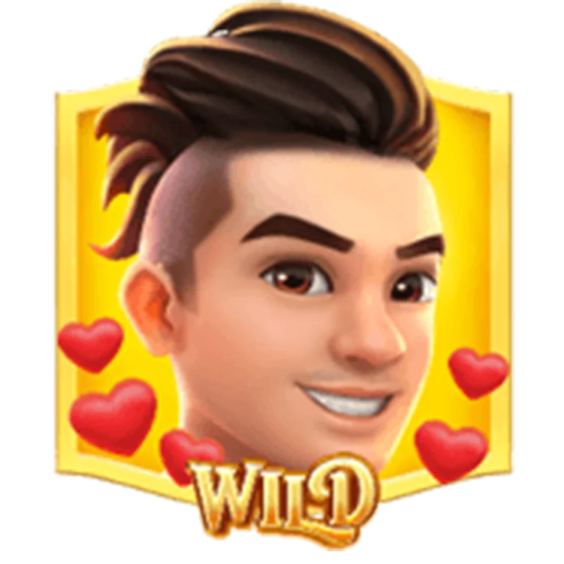 เครื่องหมายพิเศษ Wild